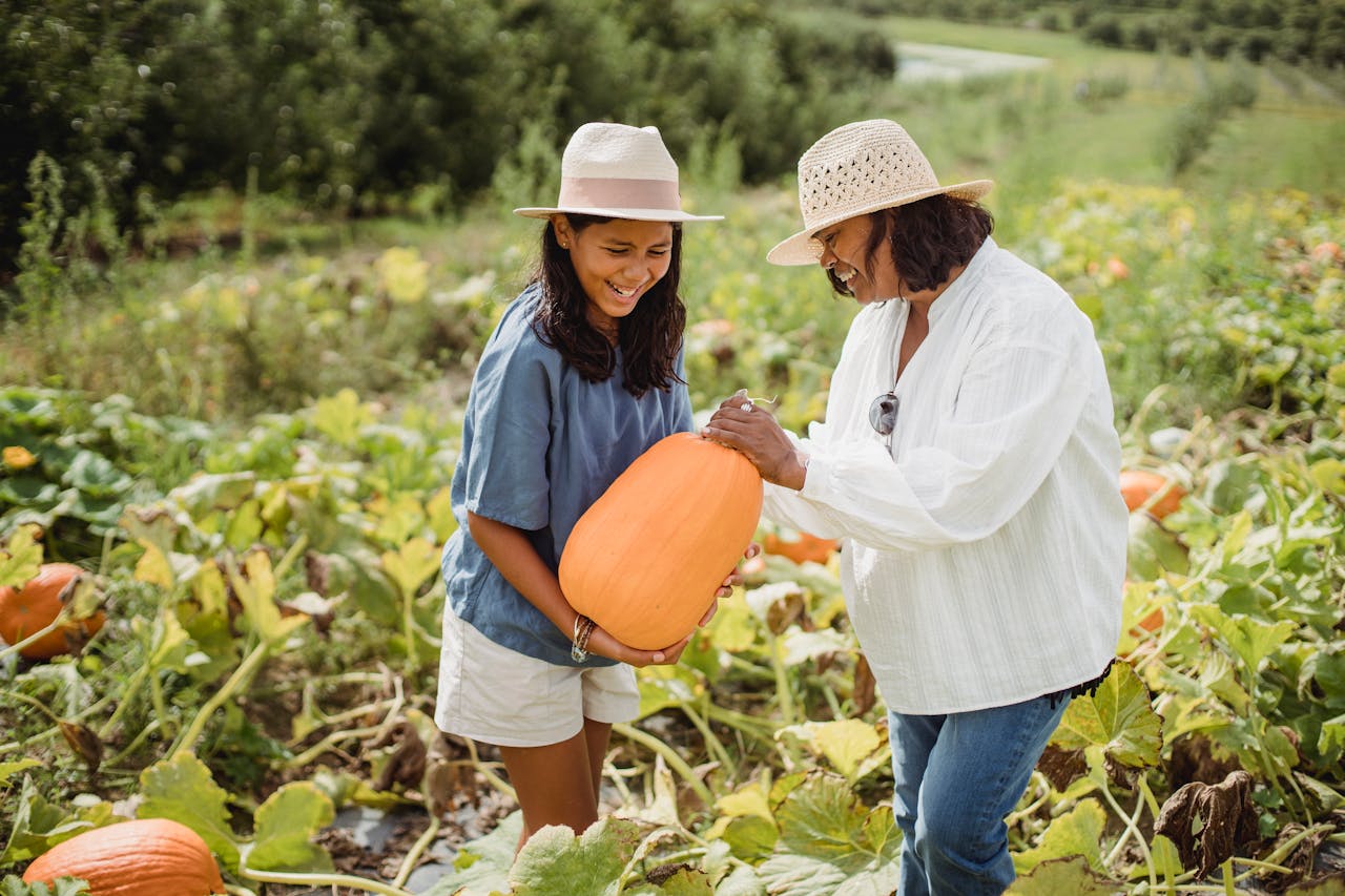 Invest in sustainable living with Good Food Village's eco-friendly farm