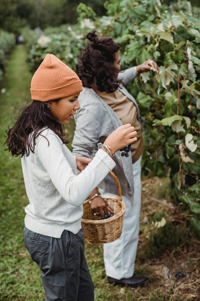 Experience the beauty of sustainable farming at Good Food Village