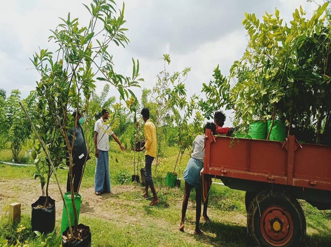 Explore our thriving Food Forest for a sustainable future