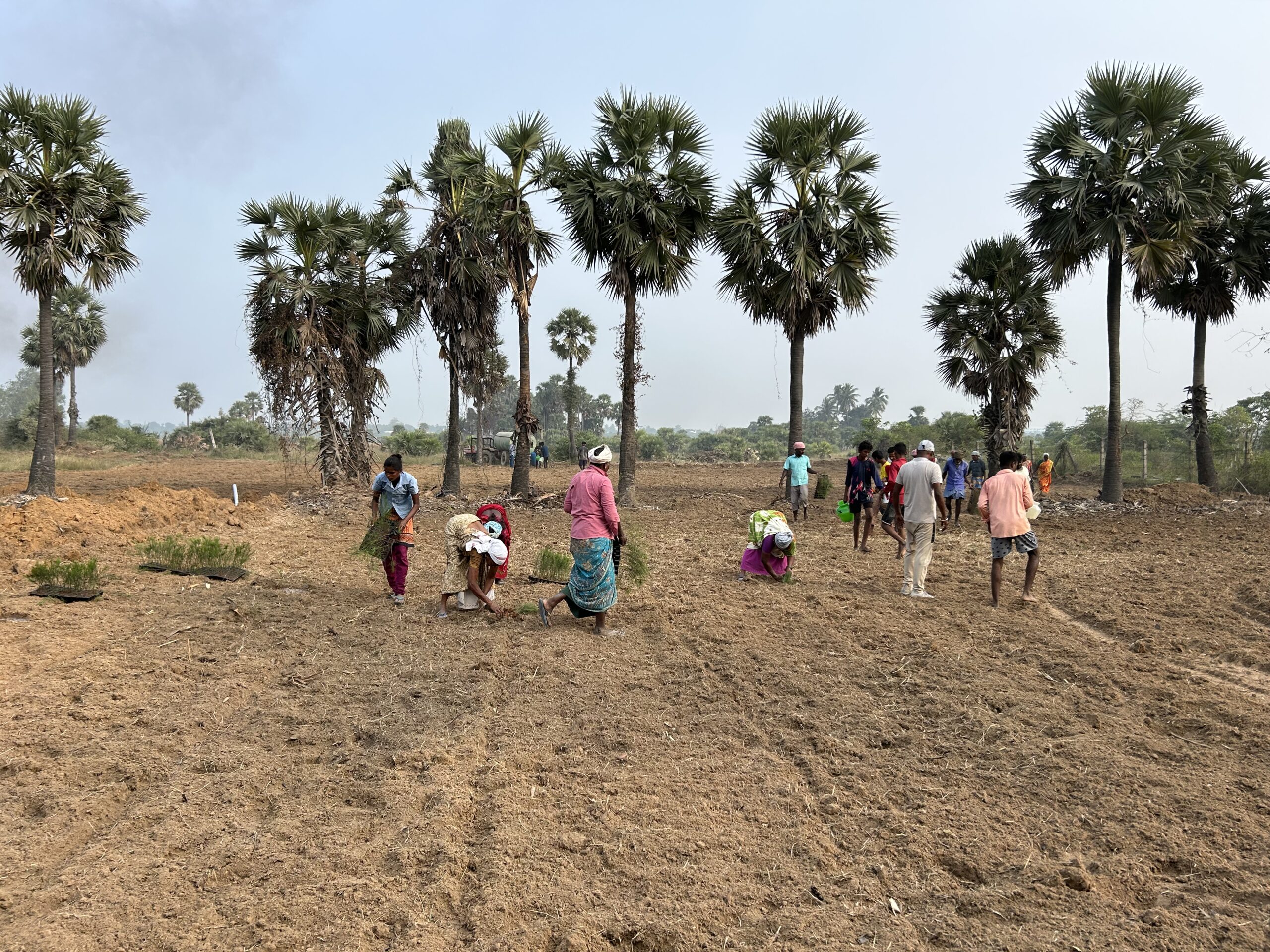 Sustainable farm promoting wellness, organic farming, and nursery plants in Tamil Nadu