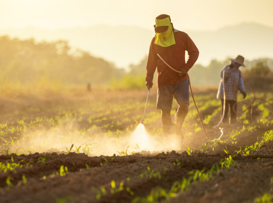 Agro-tourism in India promoting sustainable living and natural food stores